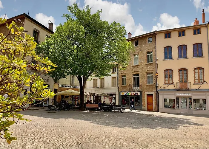Charmant Appartement Au Coeur De Neuville - Lyon A 20Mn