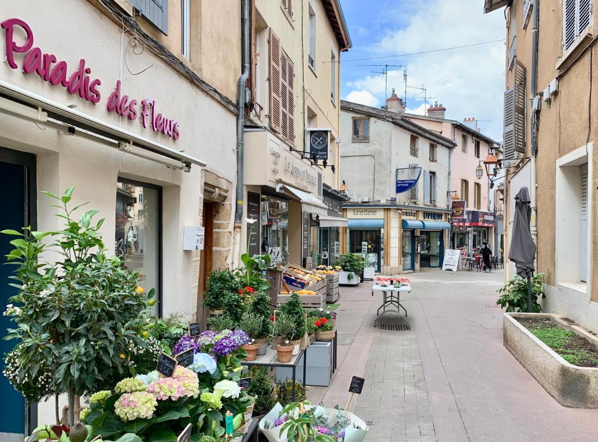 Au Coeur De - Lyon A 20mn Neuville-sur-Saone